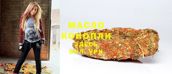 молекула духа Бородино