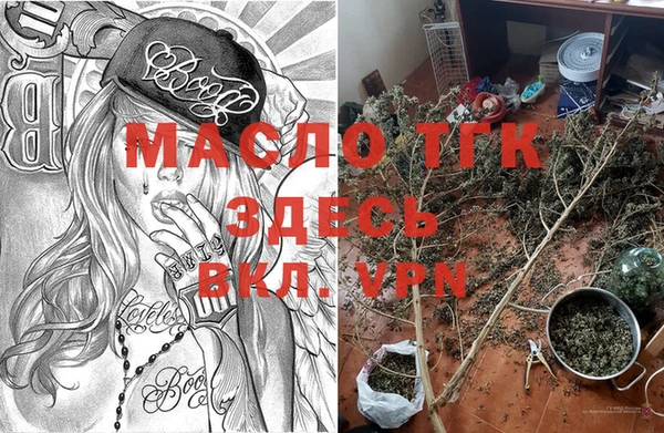 молекула духа Бородино