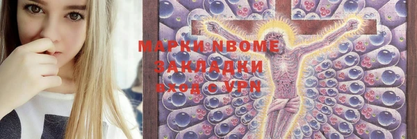 молекула духа Бородино