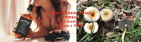дурь Верея