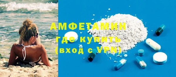 молекула духа Бородино