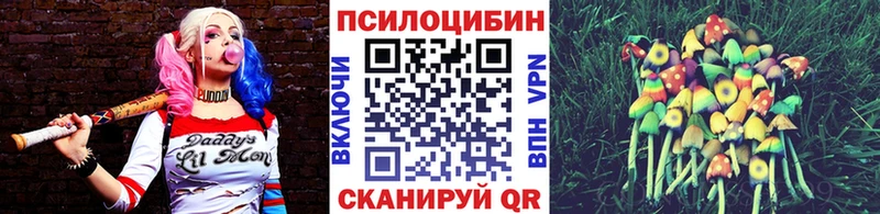 мориарти клад  Архангельск  Галлюциногенные грибы Psilocybe  ссылка на мегу как зайти 